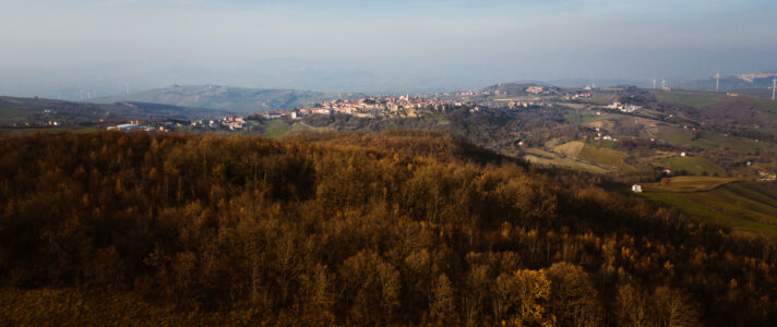 Il bosco, l’incanto, le leggende.